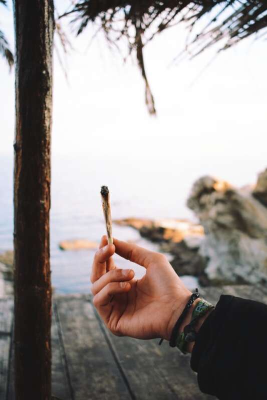 hand holding a joint