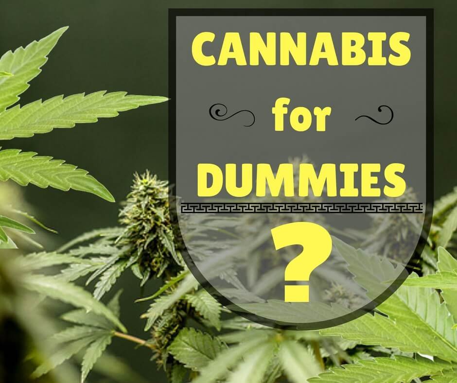 CANNABIS FOR DUMMIES