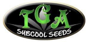 TGAgenetics Subcool Seeds 2