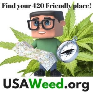 420 friendly travel guide