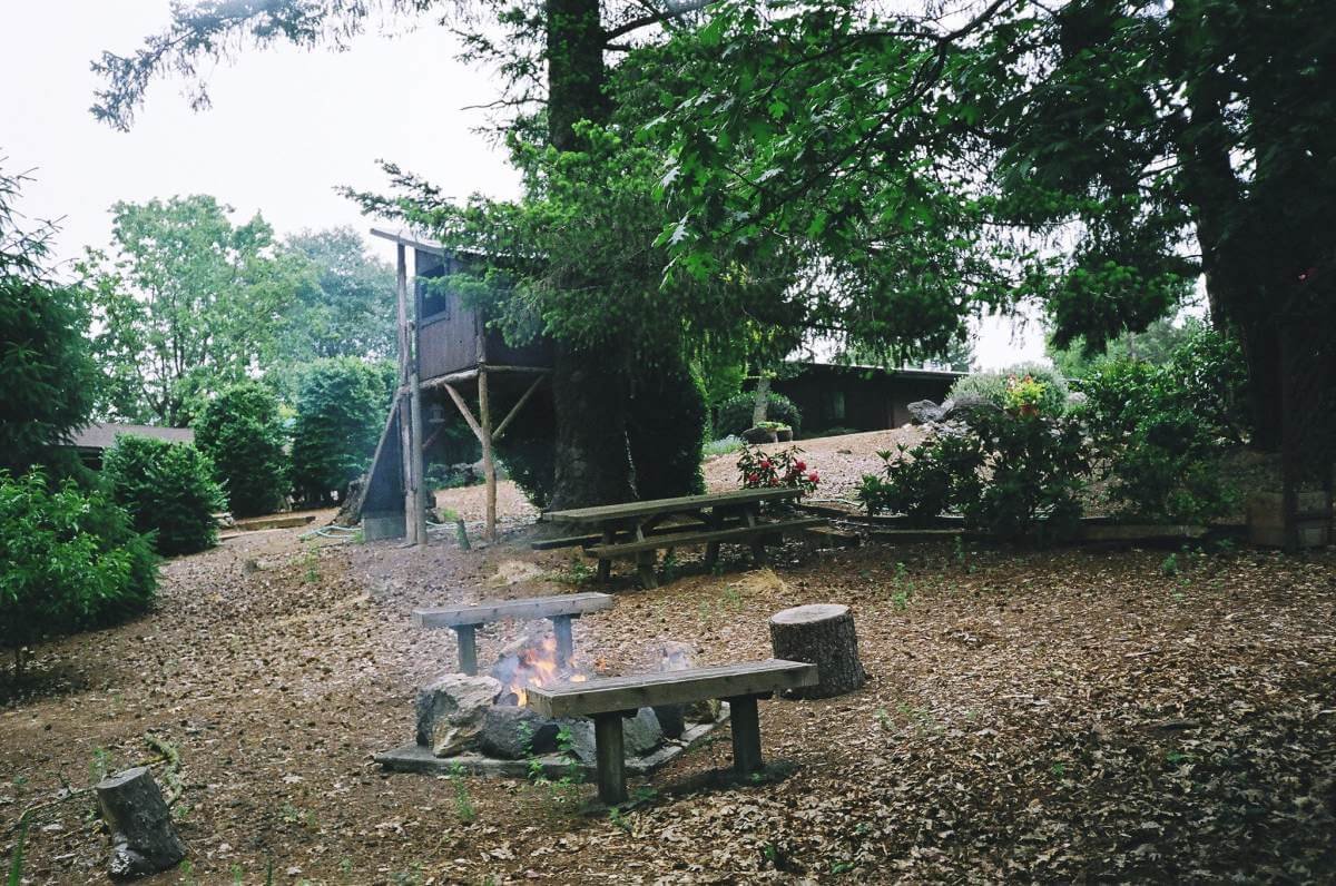 the sage hen