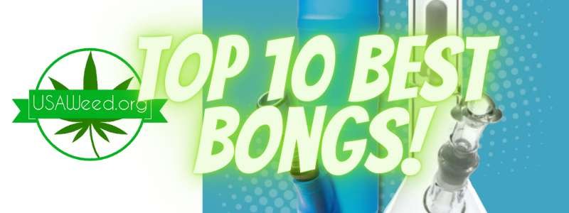 best bongs