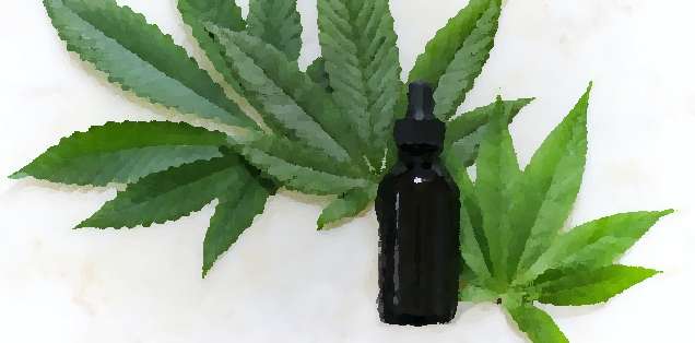 how to store your cbd oil cannabis leaf and bottle of cbd oil