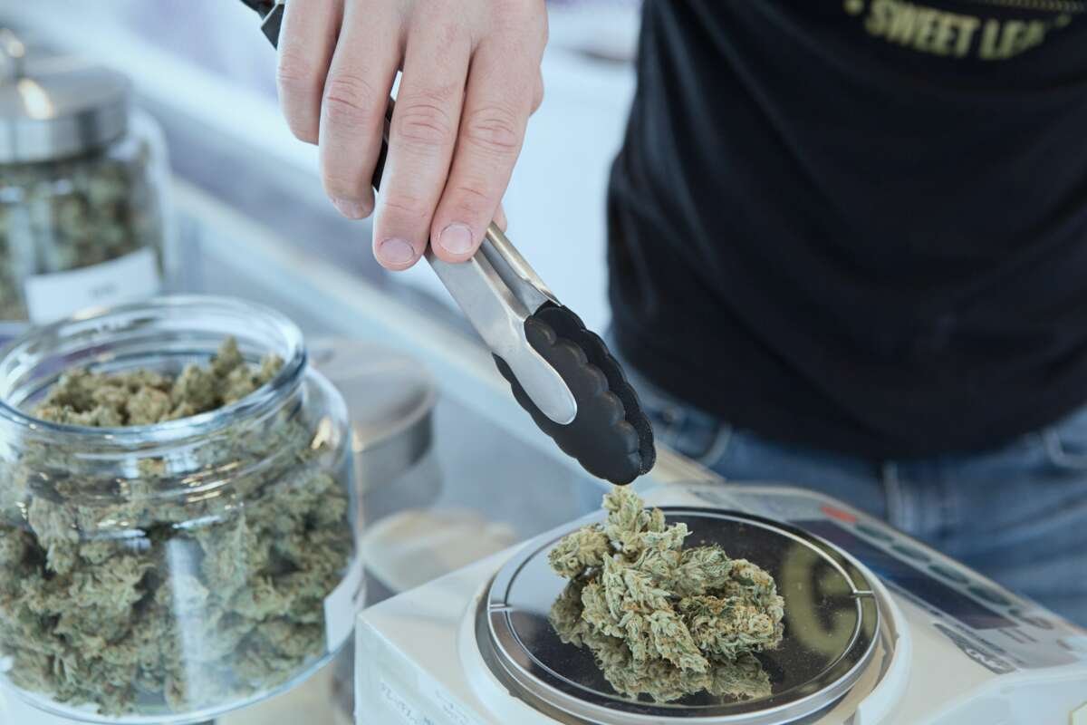 guy weighing cannabis on a scale