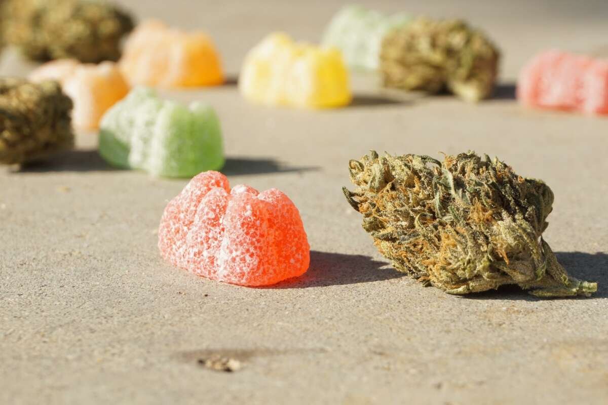 How To Make Cannabis Gummies