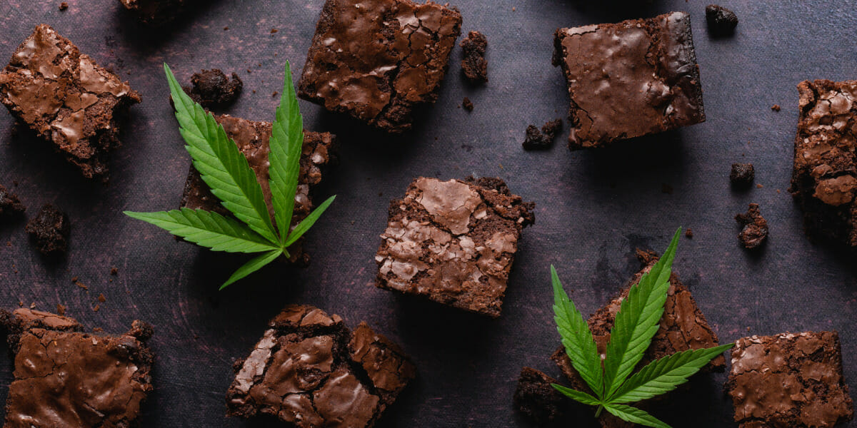 cannabis brownies