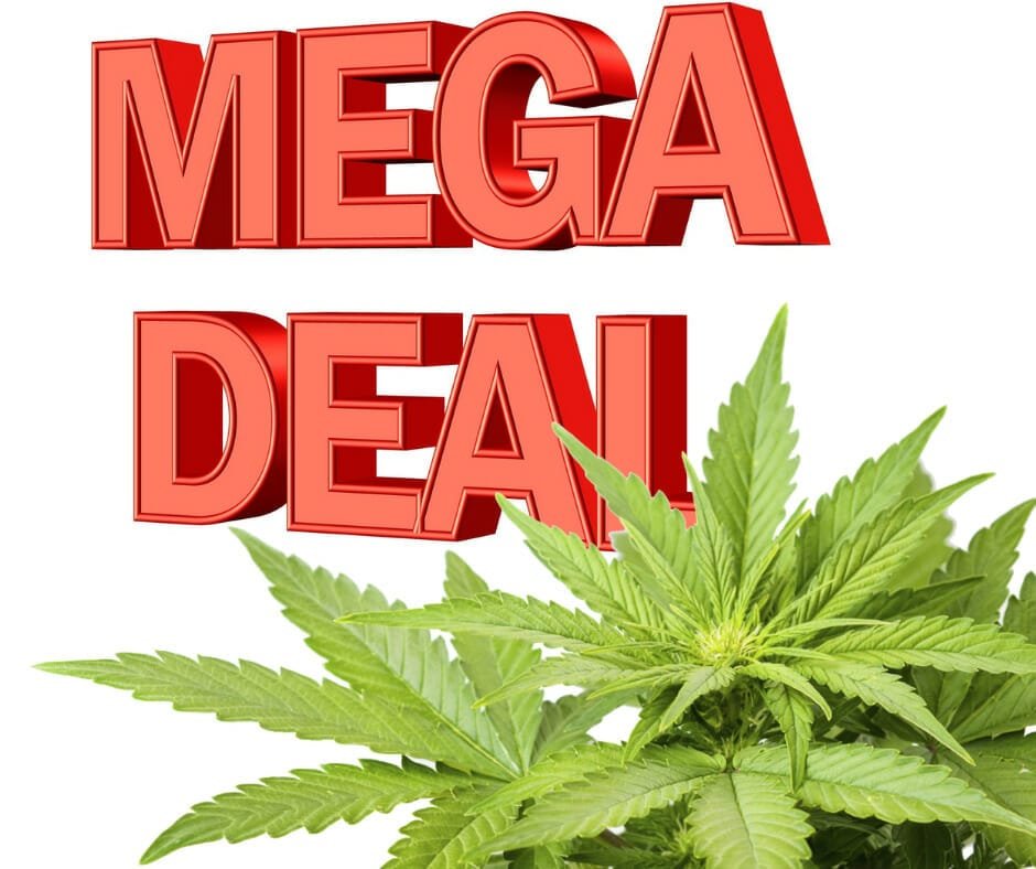 mega deal graphic