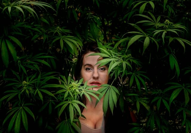 woman in cannabis plants Best Cannabis Tourism Activities in 2022