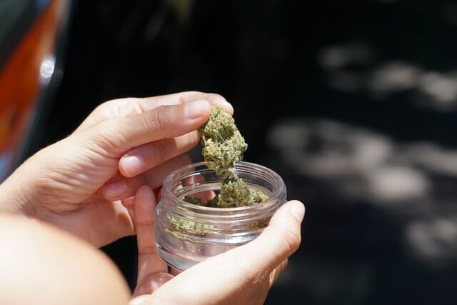 hand holding a cannabis bud