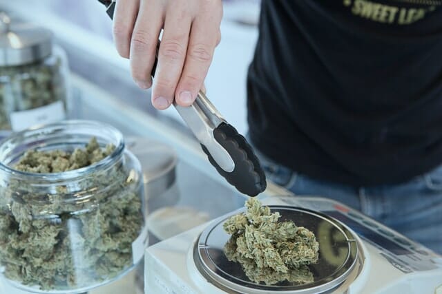 budtender weighing cannabis for sale