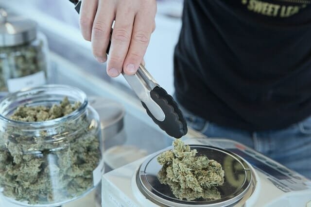 budtender weighing cannabis for sale