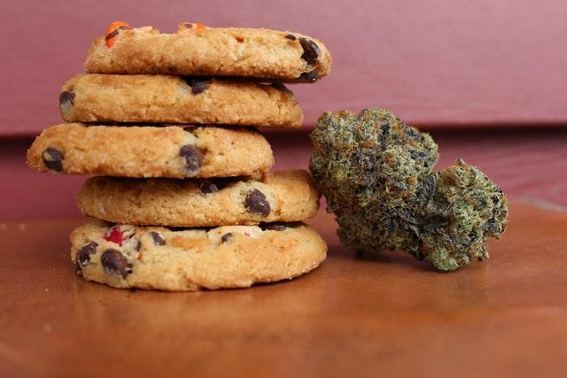 cannabis bub leaning on chocolate chip cookies