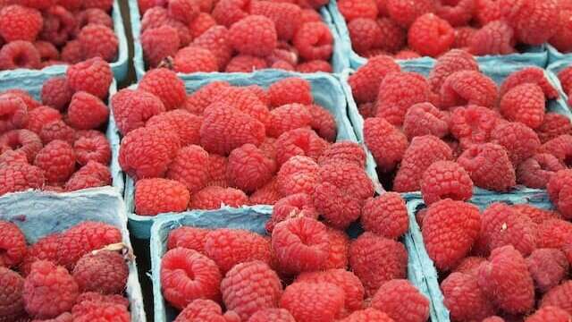 raspberries in baskets