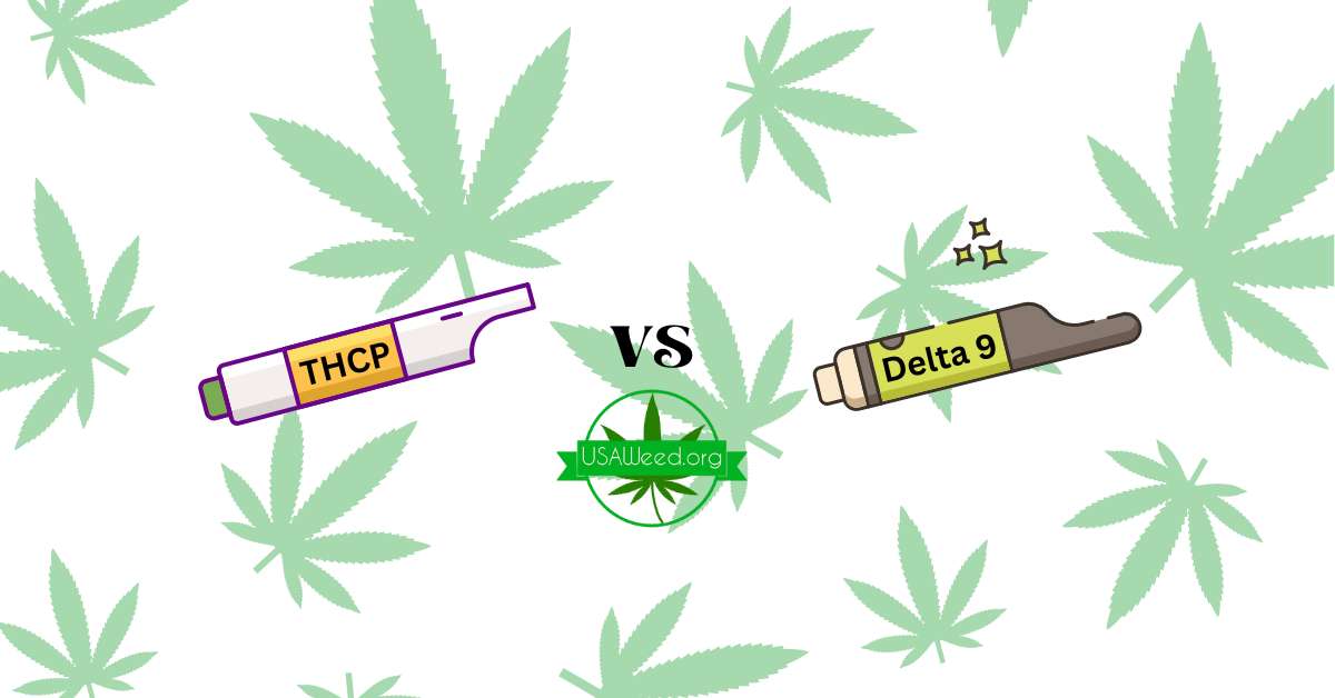 THCP vs Delta 9 THC: What You Need to have to Know