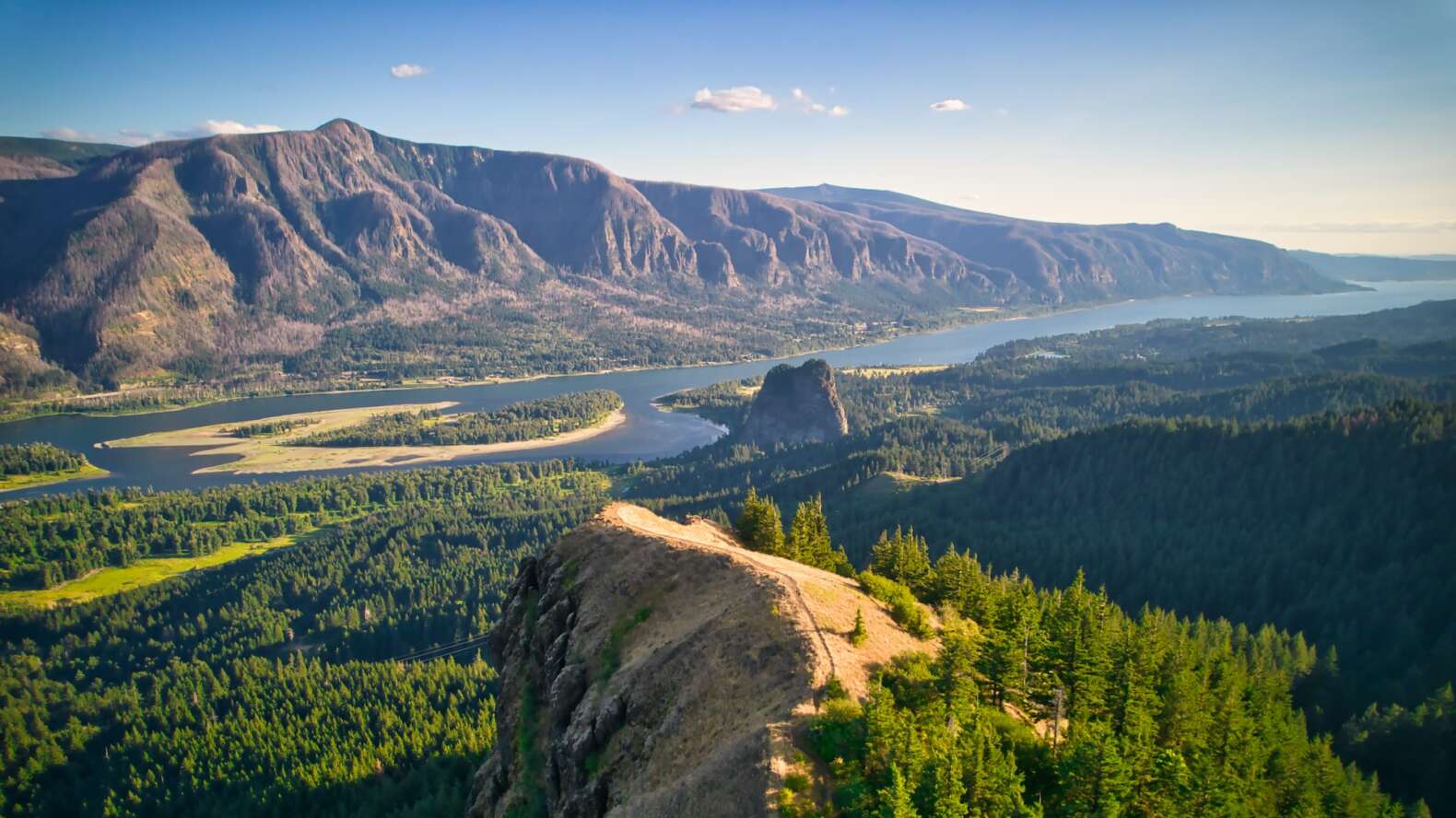 Columbia River Gorge view from above