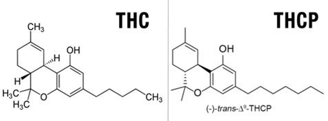 diagram of chemical make up of THC and THCP compared
