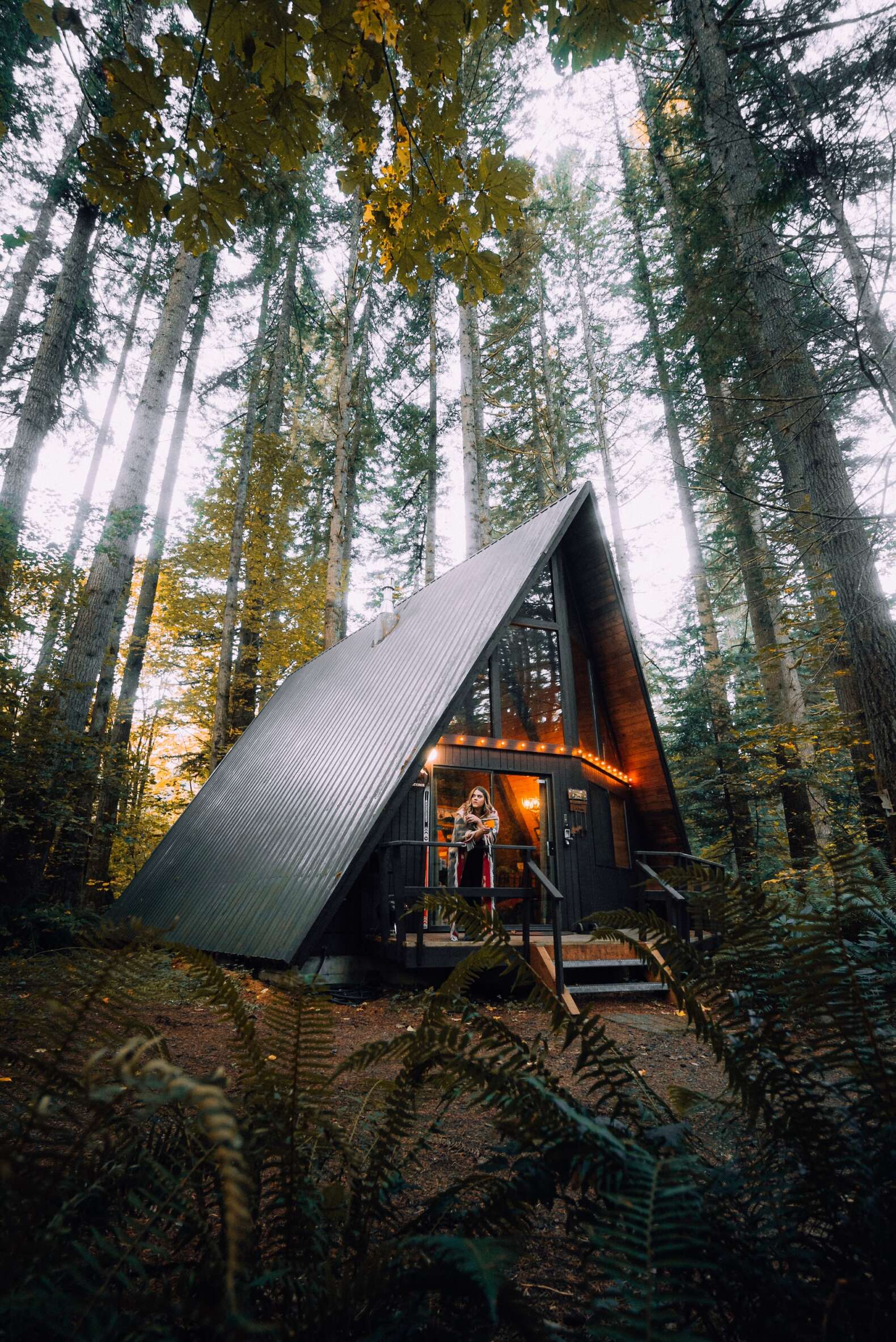 cabin in the  forest near seattle