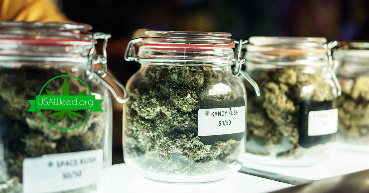 jars of cannabis
