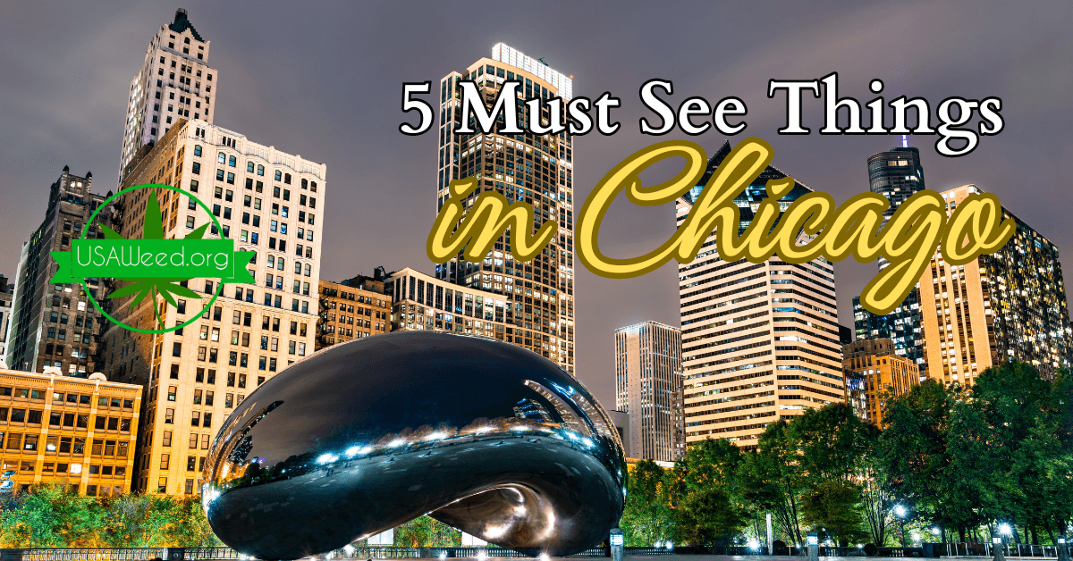 5 Must See things in Chicago for Tourists - USAWeed