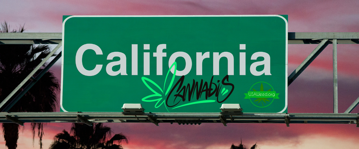 california cannabis information