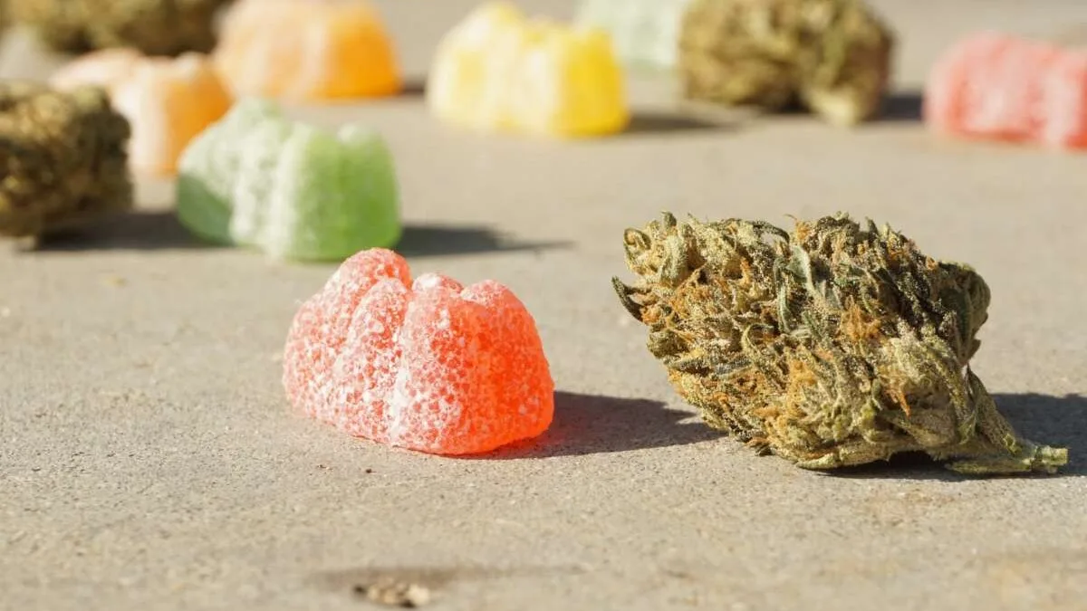 How To Make Cannabis Gummies