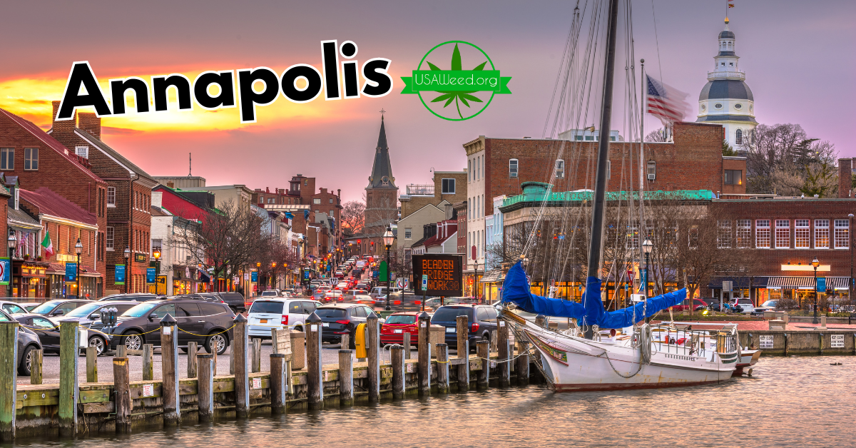 annapolis docks