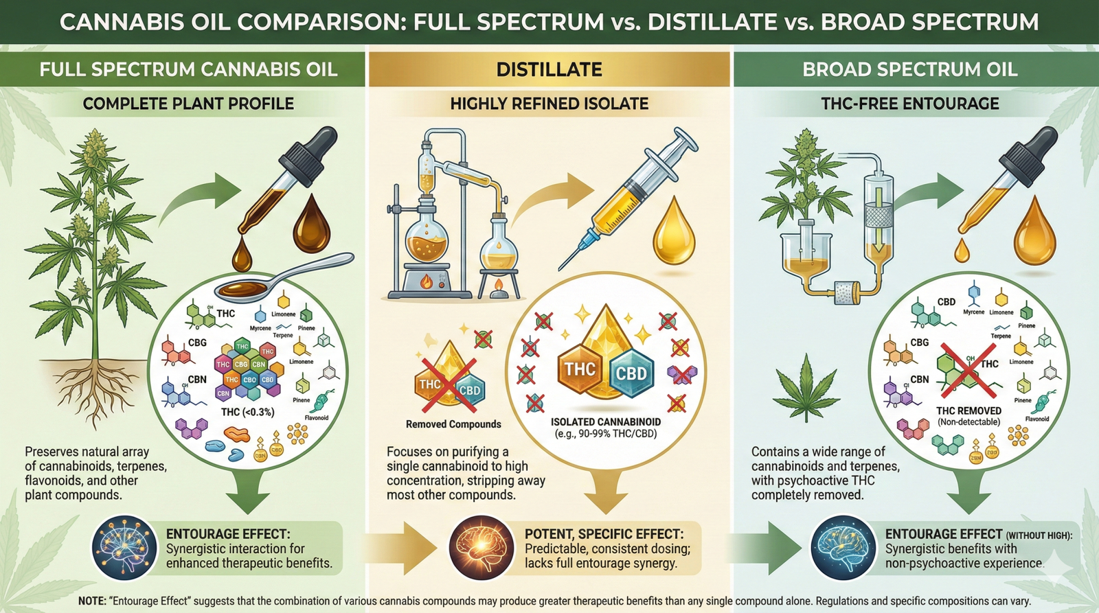 infographic showing the diffrences from broad spectrum, to full spectrum cannabis oils