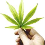 Essence Cannabis Dispensary – Henderson