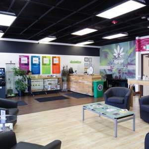 recreational cannabis store