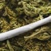 marijuana